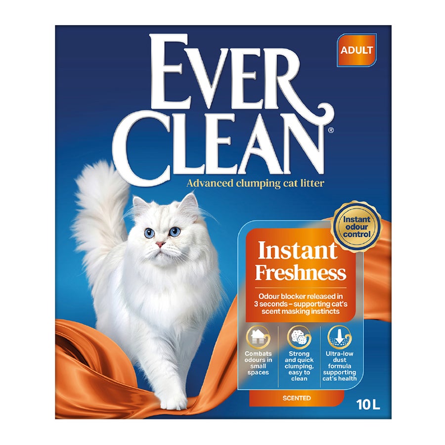 Instant Freshness (רעננות מיידית)