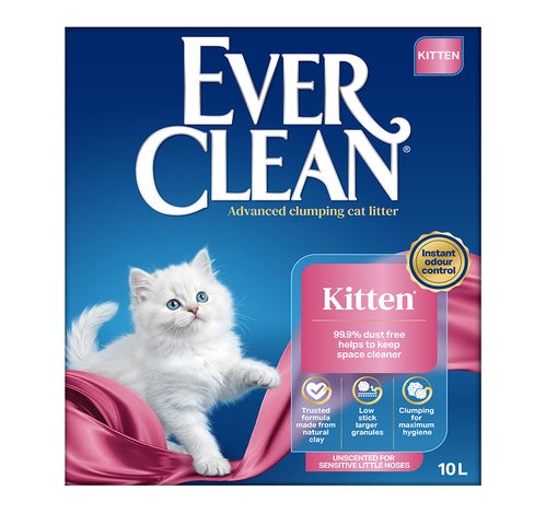 Kitten (חול)